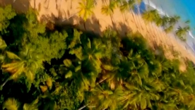 Tech Spotlight: Daily Tech News