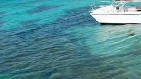 Tech Spotlight: Daily Tech News