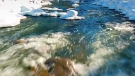 Tech Spotlight: Daily Tech News