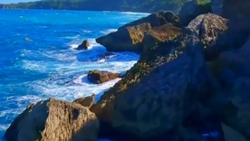 Tech Spotlight: Daily Tech News